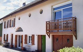 Appartement de 2 chambres avec jardin et wifi a Saint Die des Vosges
