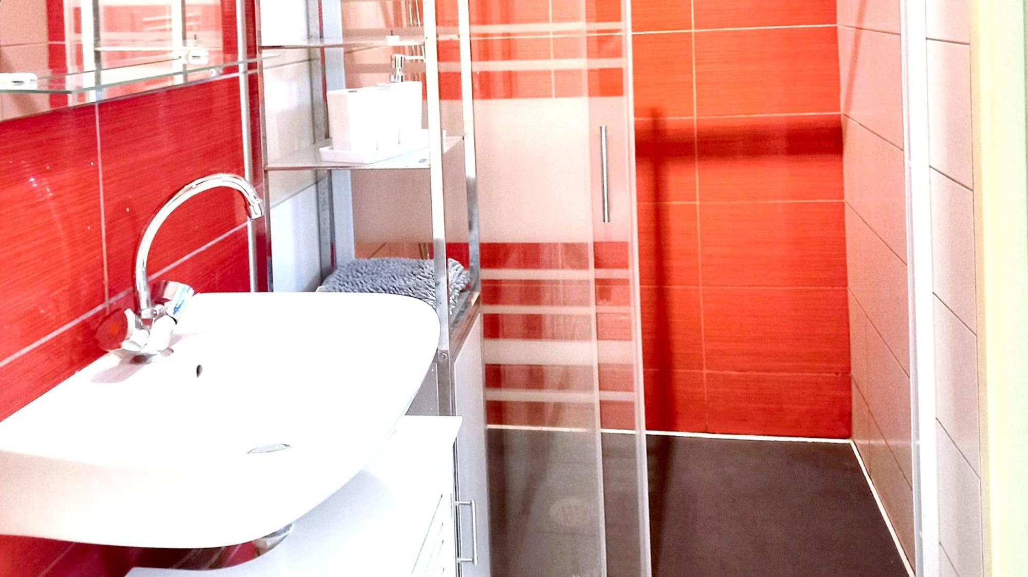 Appartement de 2 chambres avec jardin et wifi a Saint Die des Vosges Extérieur photo